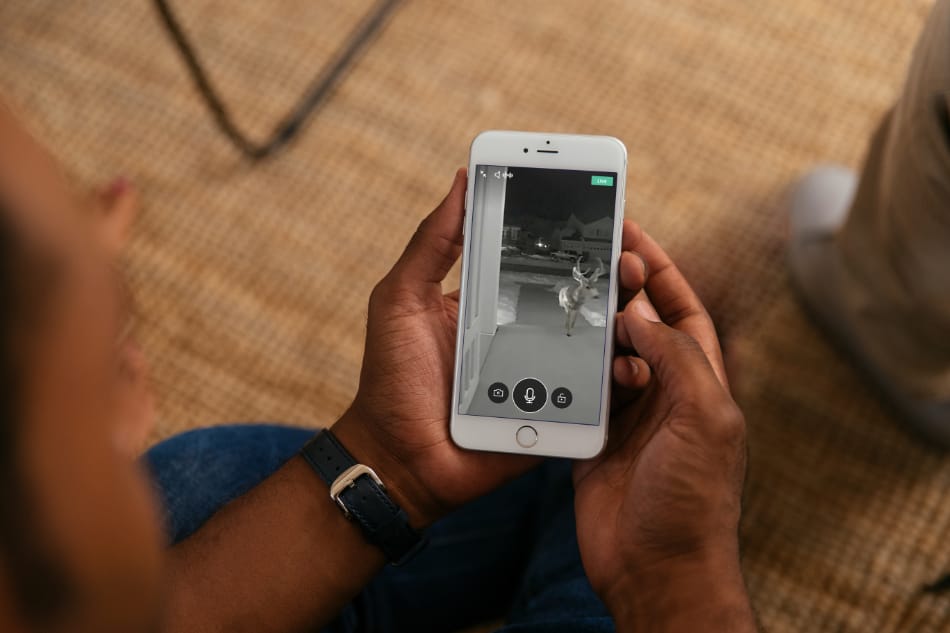 Wolf Creek MT security system