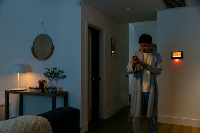 Vivint Helena smarthome automation